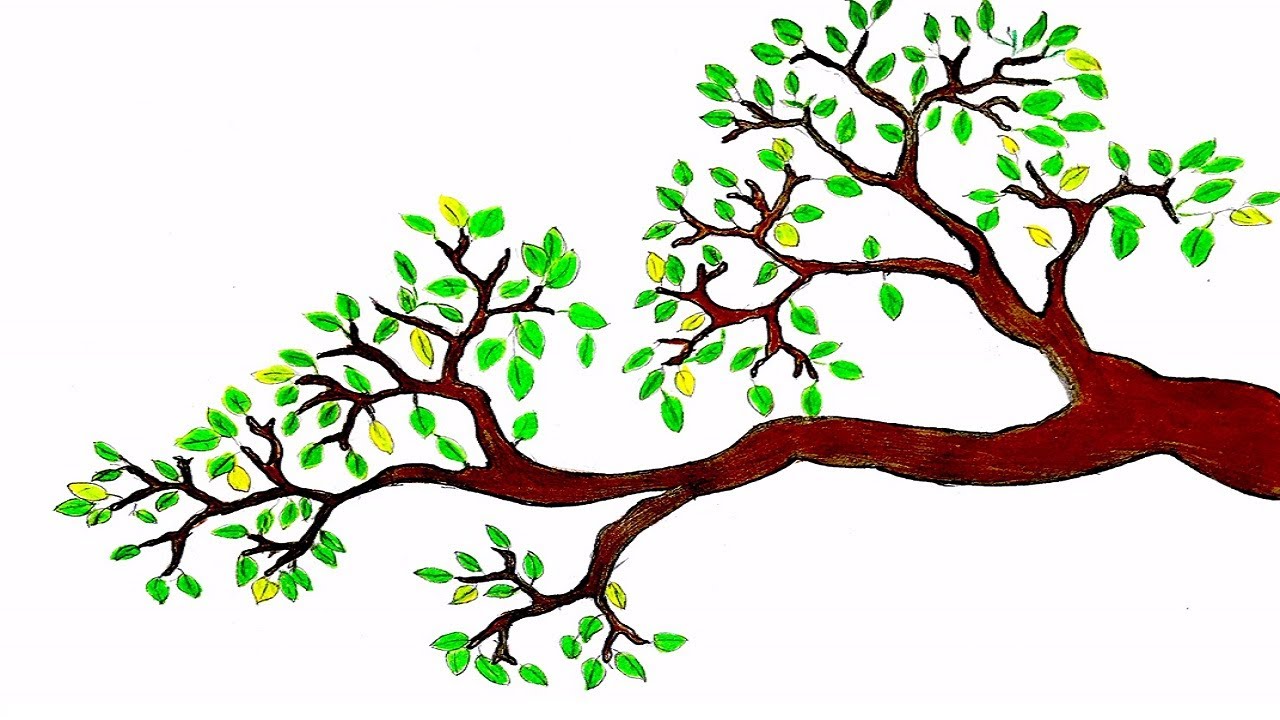 Как нарисовать весеннее дерево. Нарисовать дерево. Ветка дерева. Дерево с ветками для рисования для детей. Ветка дерева рисунок.
